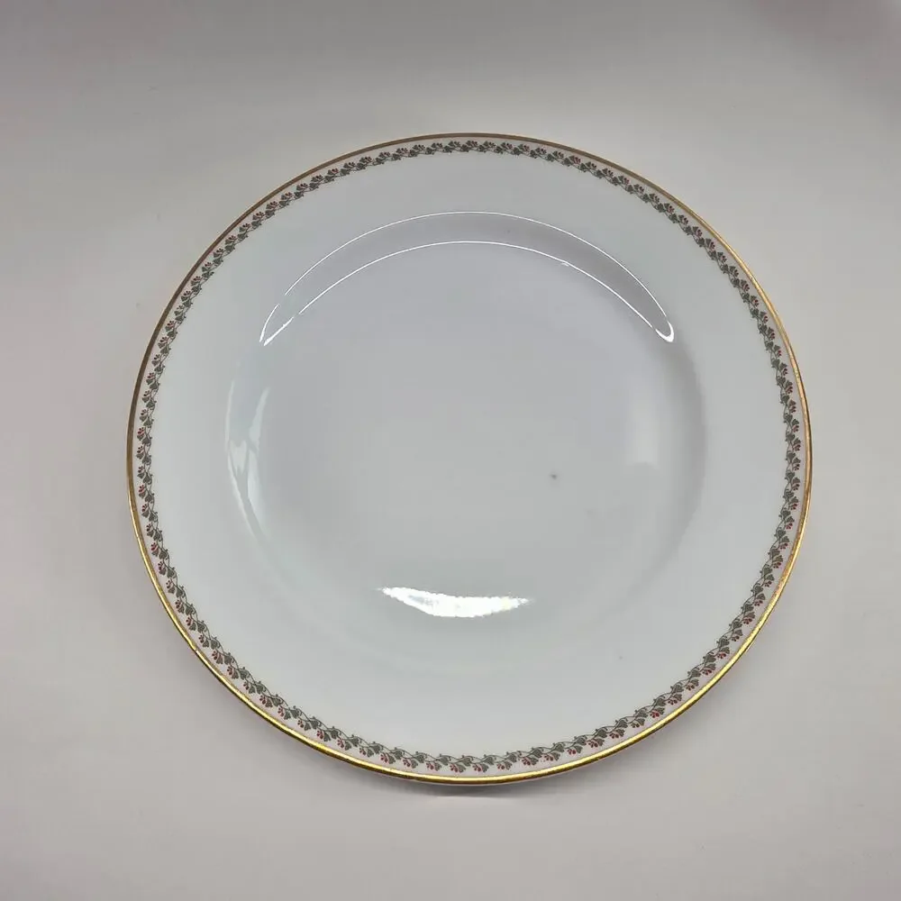 Haviland Limoges France Floral Gold Rim Dinner Plates Lot of 6 10